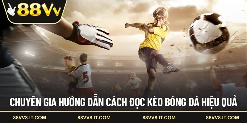 Chuyên gia hướng dẫn cách đọc kèo bóng đá hiệu quả